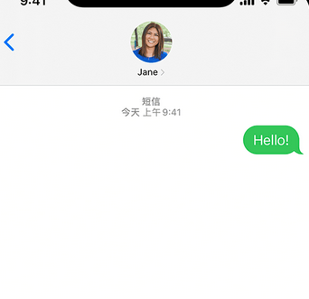 上安乡apple维修iPhone上无法正常发送iMessage信息 上安乡apple维修iPhone上无法正常发送iMessage信息