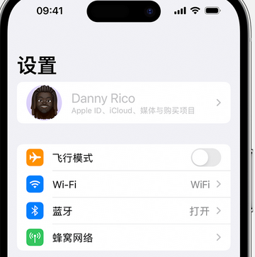 上安乡appleID维修服务iPhone设置中Apple ID显示为灰色无法使用 