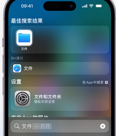 上安乡apple维修中心分享iPhone文件应用中存储和找到下载文件 