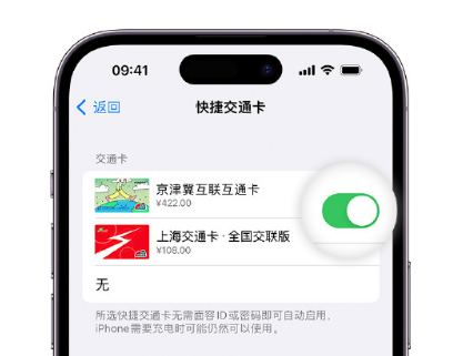 上安乡apple维修点分享iPhone上更换Apple Pay快捷交通卡手绘卡面 