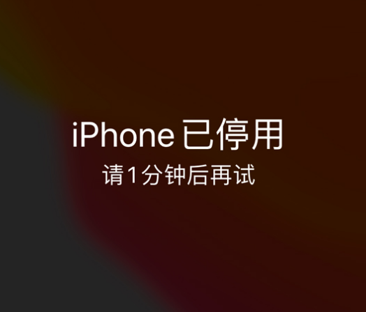 上安乡苹果手机维修分享:iPhone 显示“不可用”或“已停用”怎么办？还能保留数据吗？ 