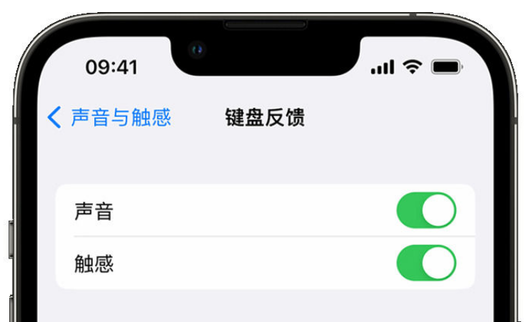 上安乡苹果手机维修分享iPhone 14触感键盘使用方法 