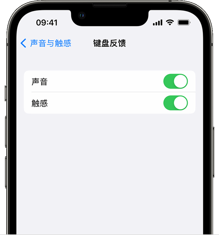 上安乡苹果14维修店分享如何在 iPhone 14 机型中使用触感键盘 