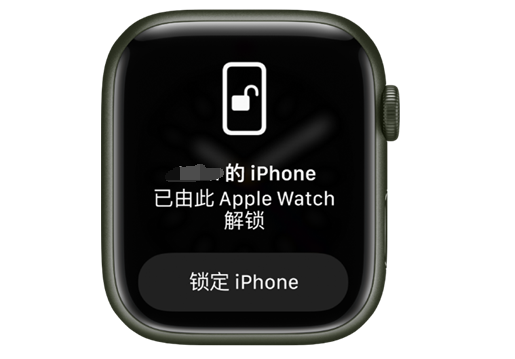 上安乡苹果手机维修分享用 AppleWatch 解锁配备面容 ID 的 iPhone方法 