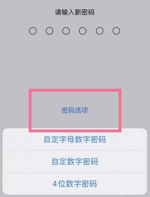 上安乡苹果14维修分享iPhone 14plus设置密码的方法 