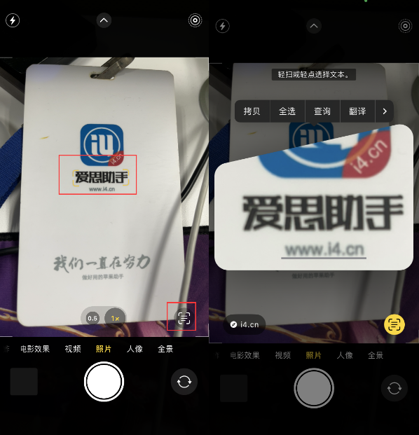上安乡苹果手机维修分享升级iOS 16后如何通过相机翻译文本 