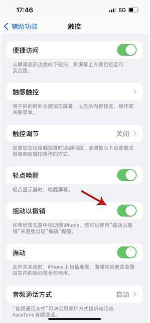 上安乡苹果手机维修分享iPhone手机如何设置摇一摇删除文字 