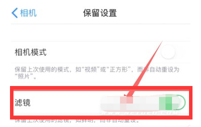 上安乡苹果13维修分享iPhone13拍照有绿点是怎么回事 