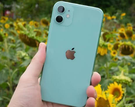 上安乡苹果维修点分享iPhone 11锁屏密码认知与使用科普 